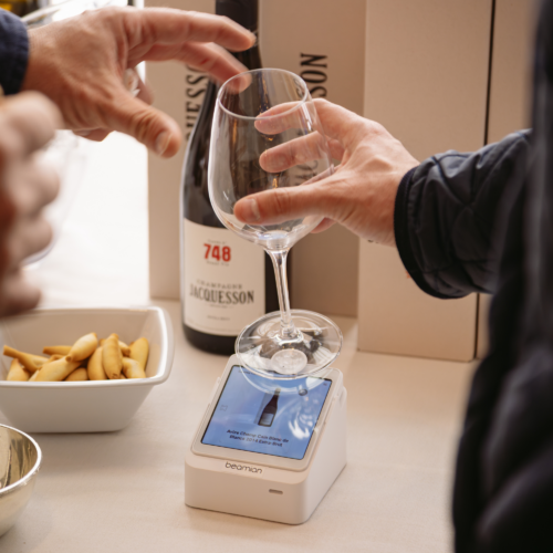 Caso de Estudio Lavinia Connecta